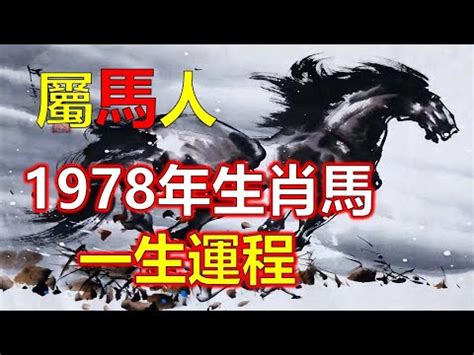 1978屬馬女2023年運勢換工作|78馬女2023運勢詳解